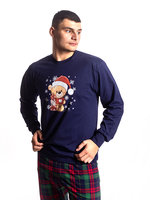 VEX s vianočným mackom